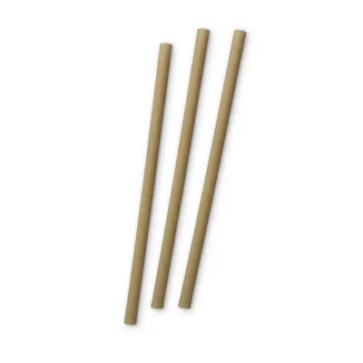 Biodegradable Straws (Straws)