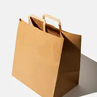 Kraft Flat Handle Bags - Large
