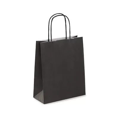 Black Paper Twisted Handle Bags - Small
