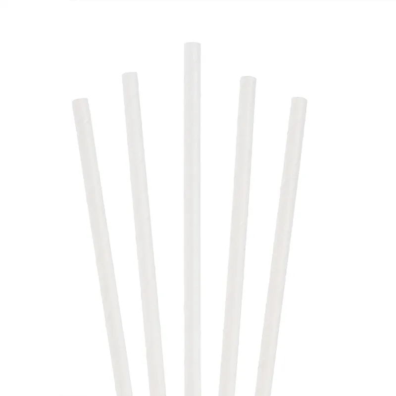 White Paper Straws - 6 x 150mm