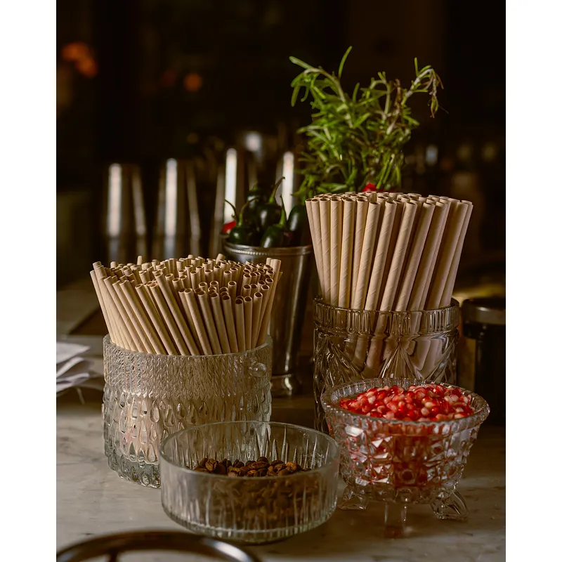 Bamboo Pulp Straws - 6 x 150mm lifestyle