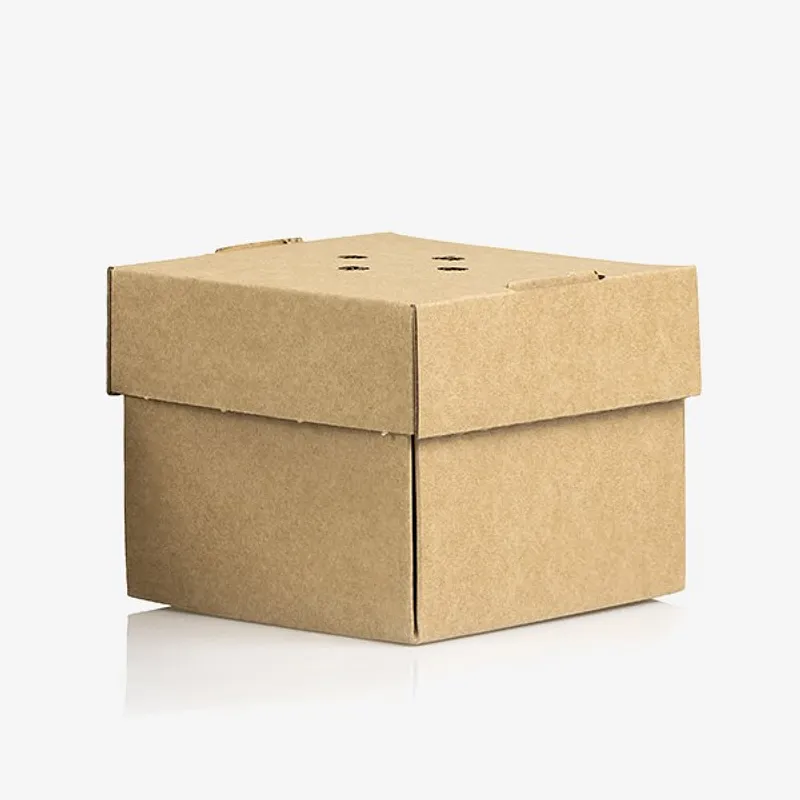 Premium Burger Box