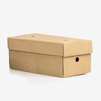 Premium Burger Meal Box