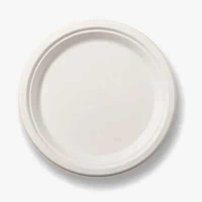 Bagasse Round Plate - 9″ / 225 mm