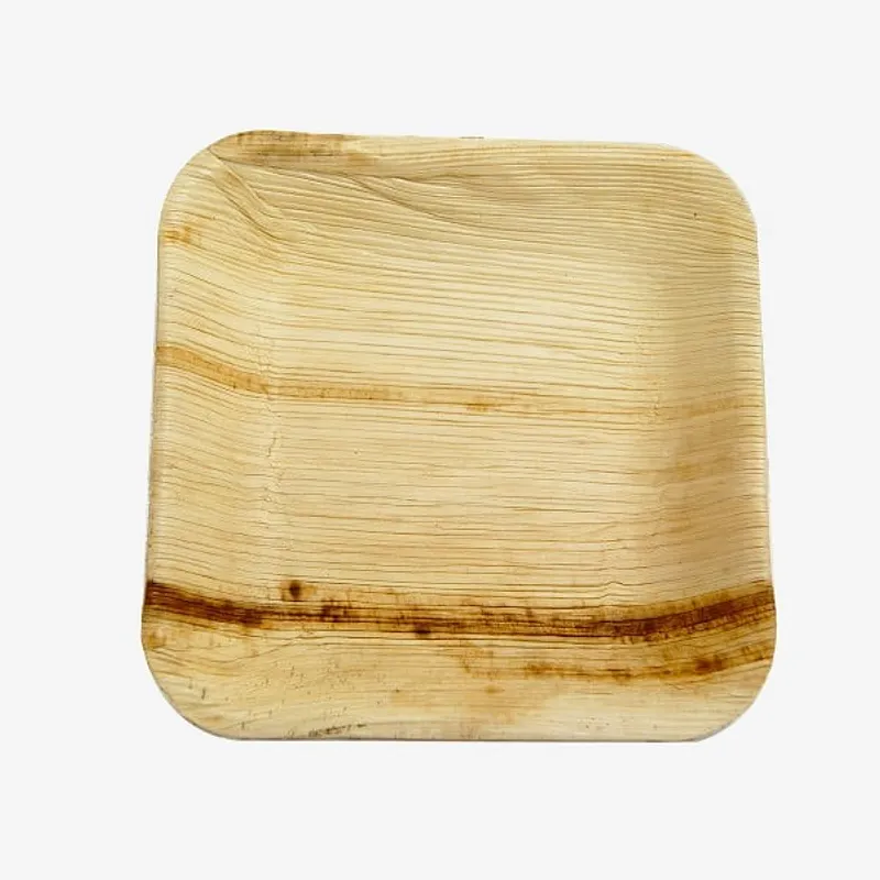 Palm Leaf Square Plate - 8 inch