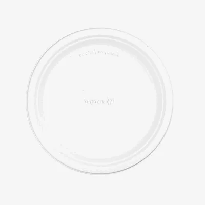 Vegware Bagasse Plate - 10in
