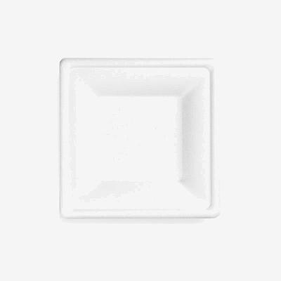 Vegware Square Plate (Square Plate)